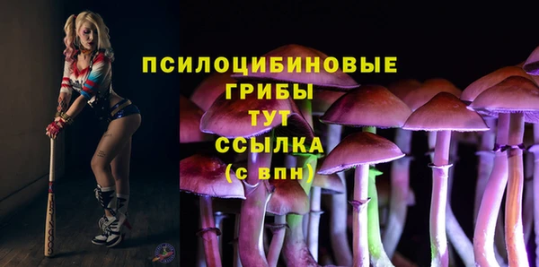 бошки Алексеевка