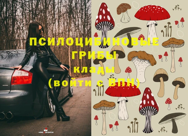 прущие крисы Алексин