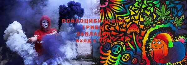 прущие крисы Алексин