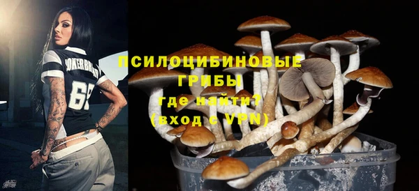 прущие крисы Алексин