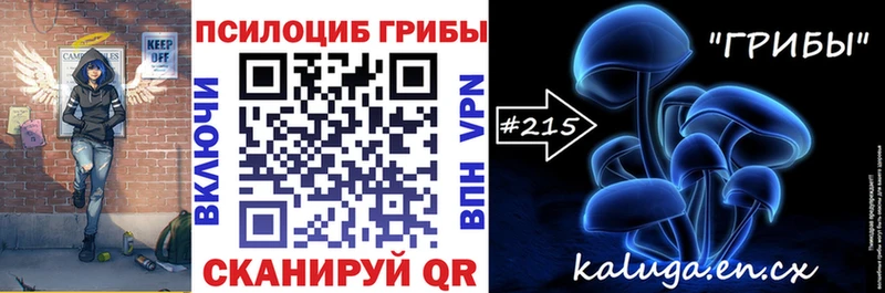 Псилоцибиновые грибы мухоморы Камбарка